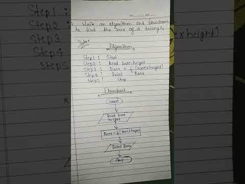 algorithm & flowchart problem #shorts #c programming