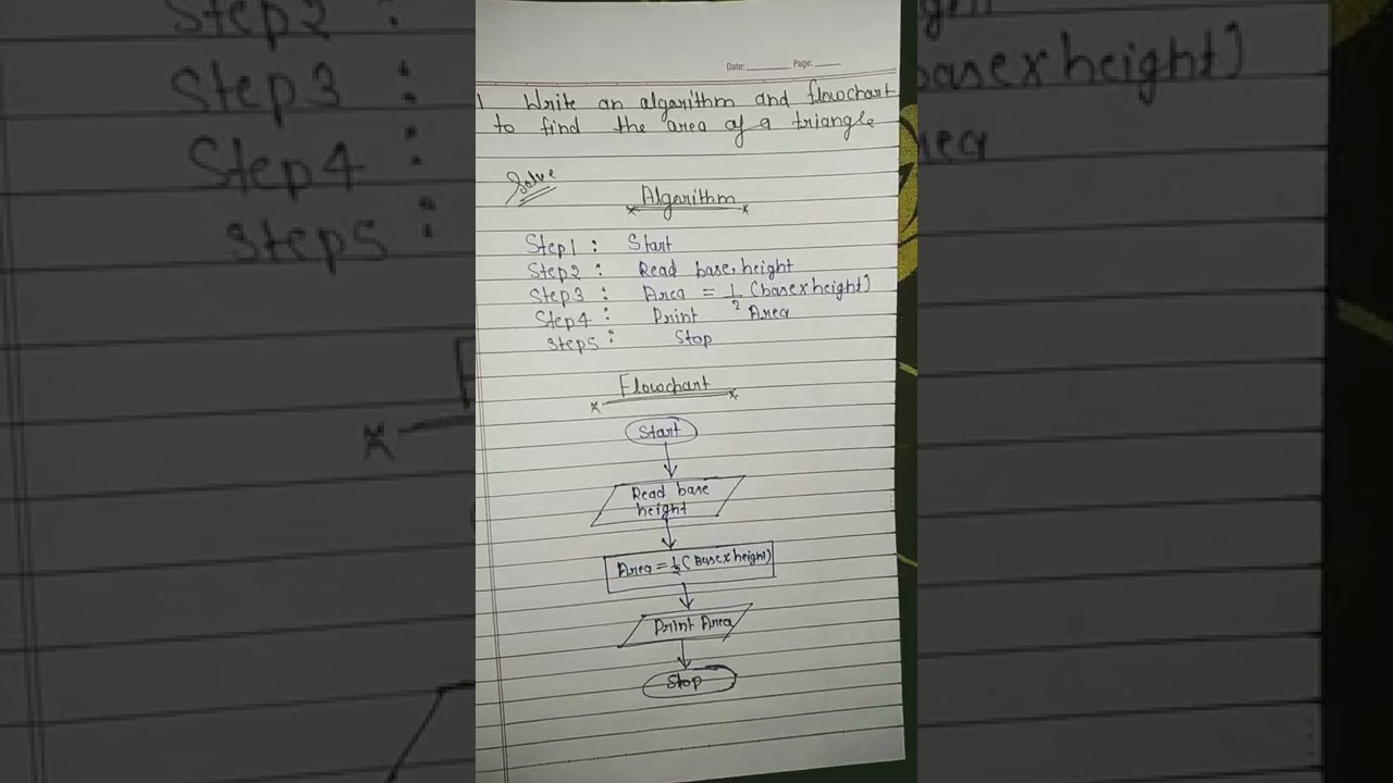 Master C Programming: Quick Guide to Algorithms & Flowcharts 🔥