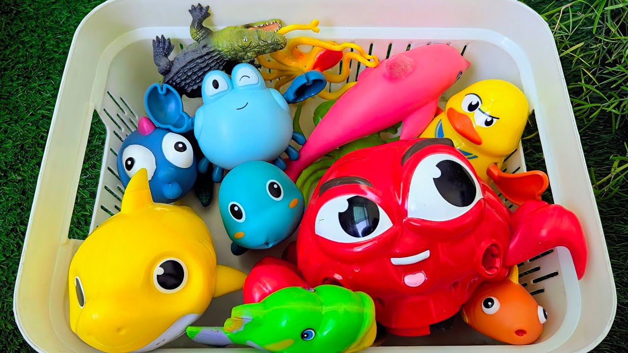 Kids Learn Ocean Animals with Toys & Real Creatures 🐠