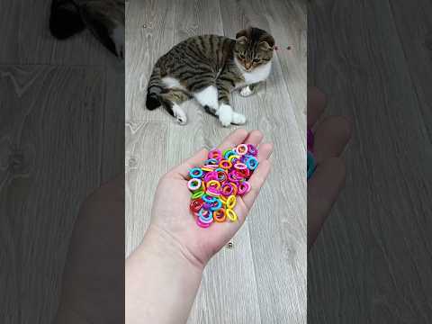 A Satisfying Video Family