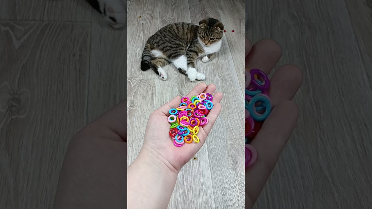 Satisfying Reverse Video Compilation