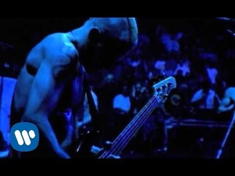 Red Hot Chili Peppers - Coffee Shop Official Video ๐ธ