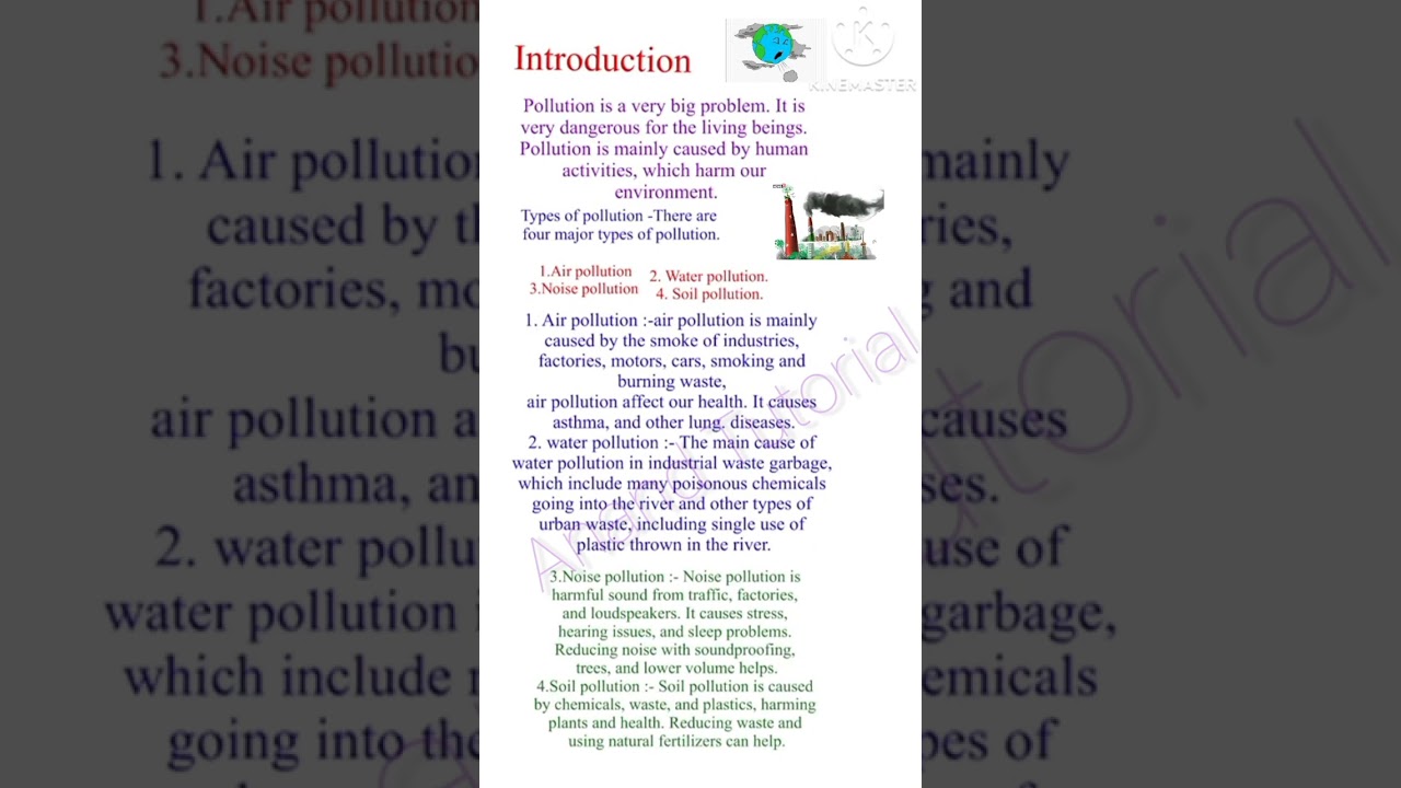 Pollution Essay: Causes, Effects & Solutions 🌍