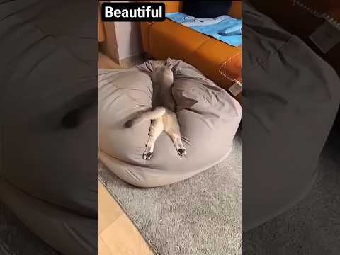 talent ki Kami Nahin hai #Pakistan mein #shahid #funnyclip #beautiful 😅🥰🧐🧐