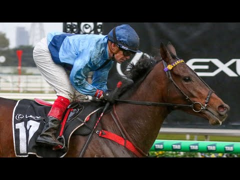 BASILINNA Wins Lexus Andrew Ramsden & Secures Melbourne Cup Ticket 🏆