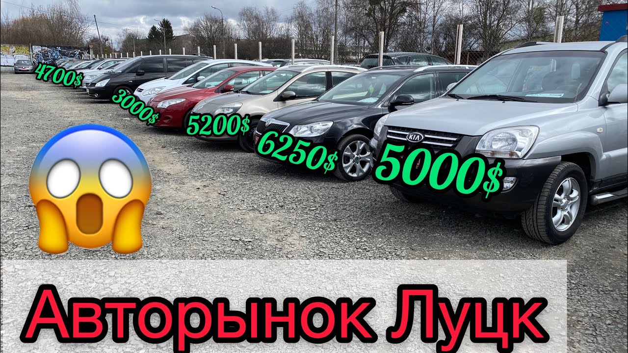Луцк: крупнейший и недорогой автобазар 🚗