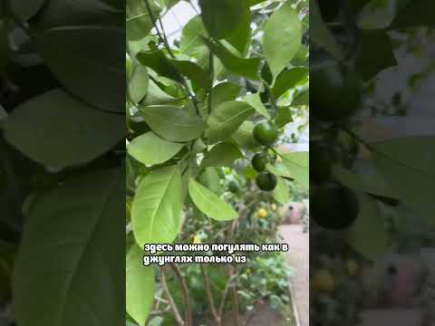 Куда сходить в Саратове ?