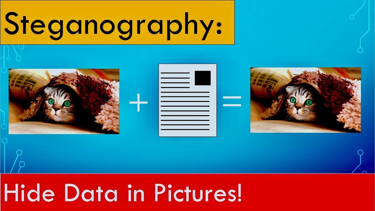 Learn How to Hide Text in Images with Steganography 🖼️