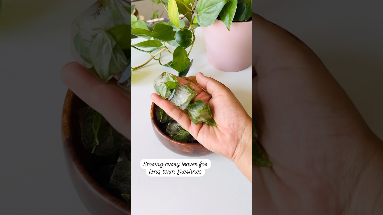 Easy way to store curry leaves fresh for months!