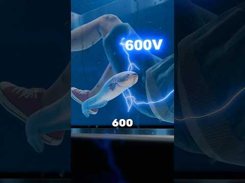 Yakuza's Most Shocking Torture Method Revealed ⚡