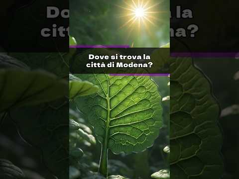 Quiz Geografia - Le hai indovinate tutte? ✈️ #quiz #trivia #quizitalia #domande #geografia