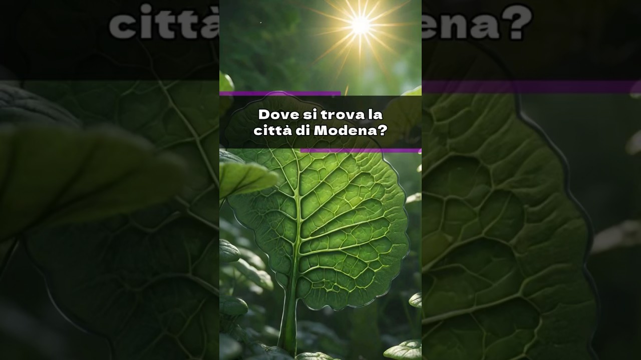 Quiz di Geografia: Hai Indovinato Tutte le Risposte?