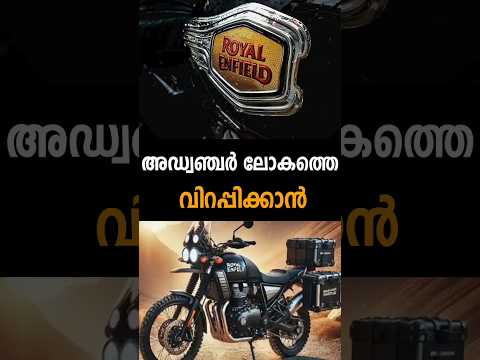 Latest News | 01/11/25 | Nation News Live #thrissur #royalenfield #kuthiran #elephantattack