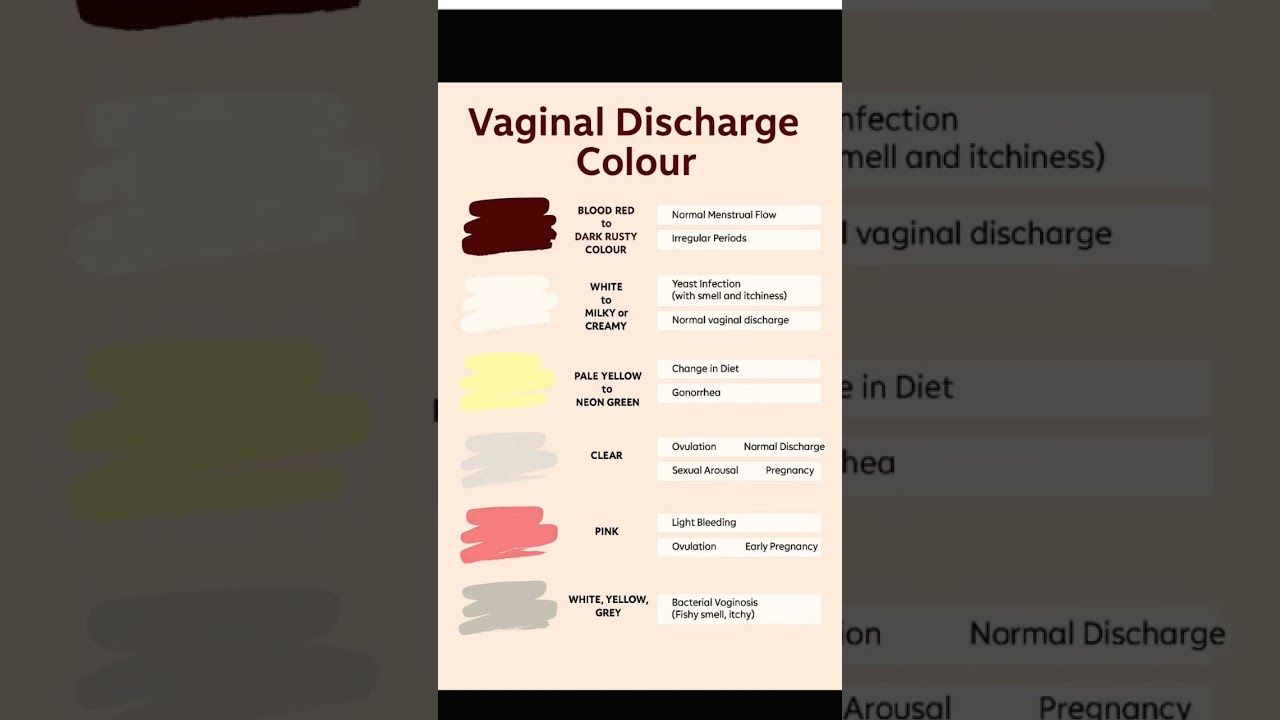 Vaginal Discharge Color Guide: What's Normal? 🌼
