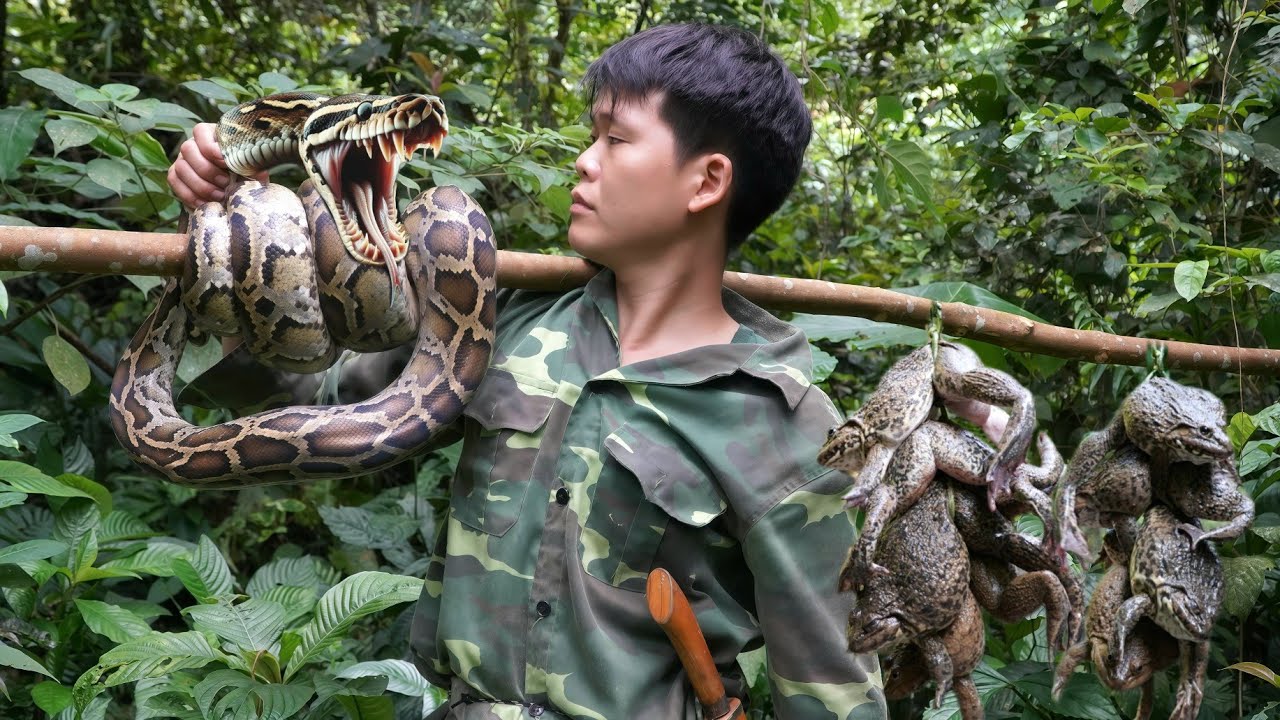 Wildlife Adventures: Trapping, Catching & Capturing 🐍