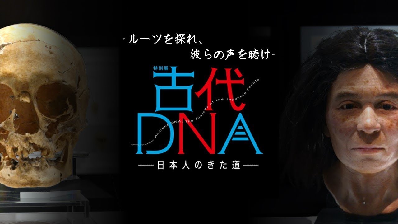 【国立科学博物館】古代DNAから解き明かす日本人の起源🌏特別展「古代DNA―日本人の道のり―」解説動画