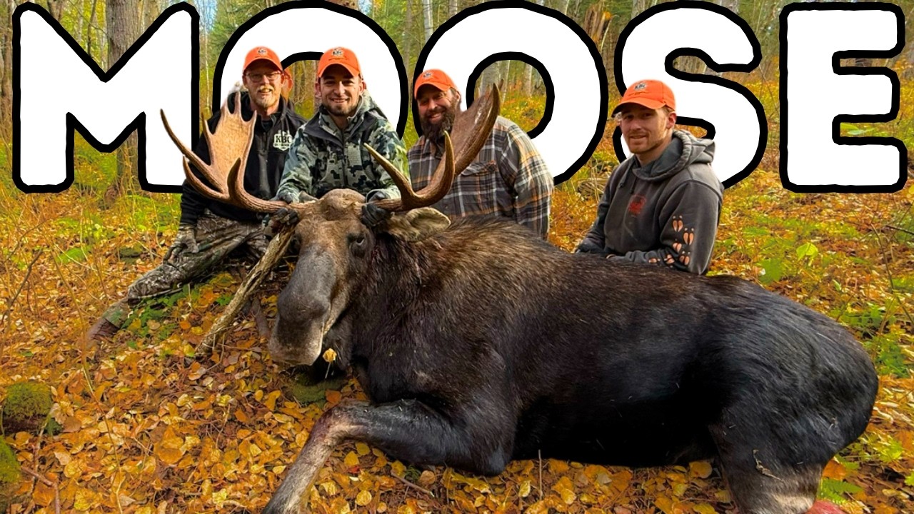 Epic Maine Moose Hunt from Off-Grid Cabin with KBC Outdoors 🦌