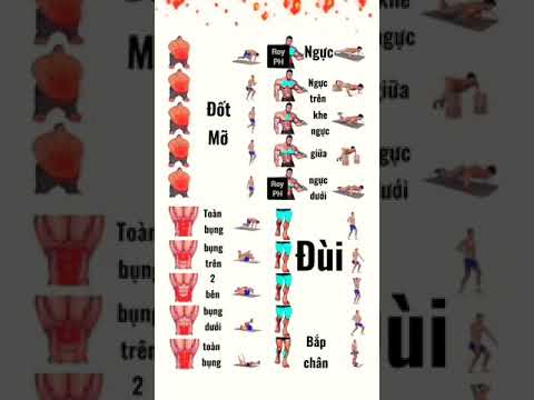 Bài Tập Đốt Mỡ Và Tăng Cơ Toàn Thân Hiệu Quả Tại Nhà - Tập Gym Tại Nhà