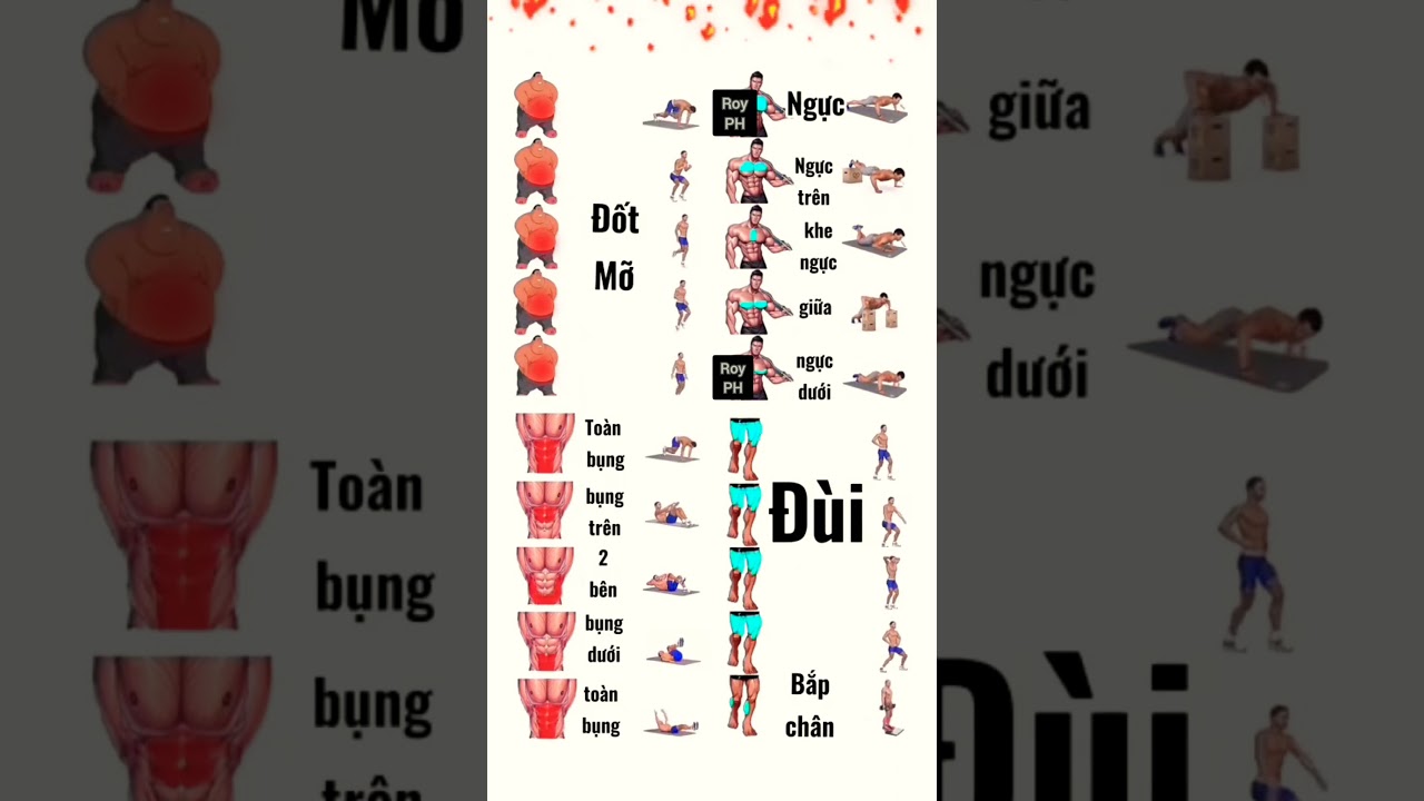 Bài Tập Đốt Mỡ & Tăng Cơ Toàn Thân Hiệu Quả Tại Nhà 💪