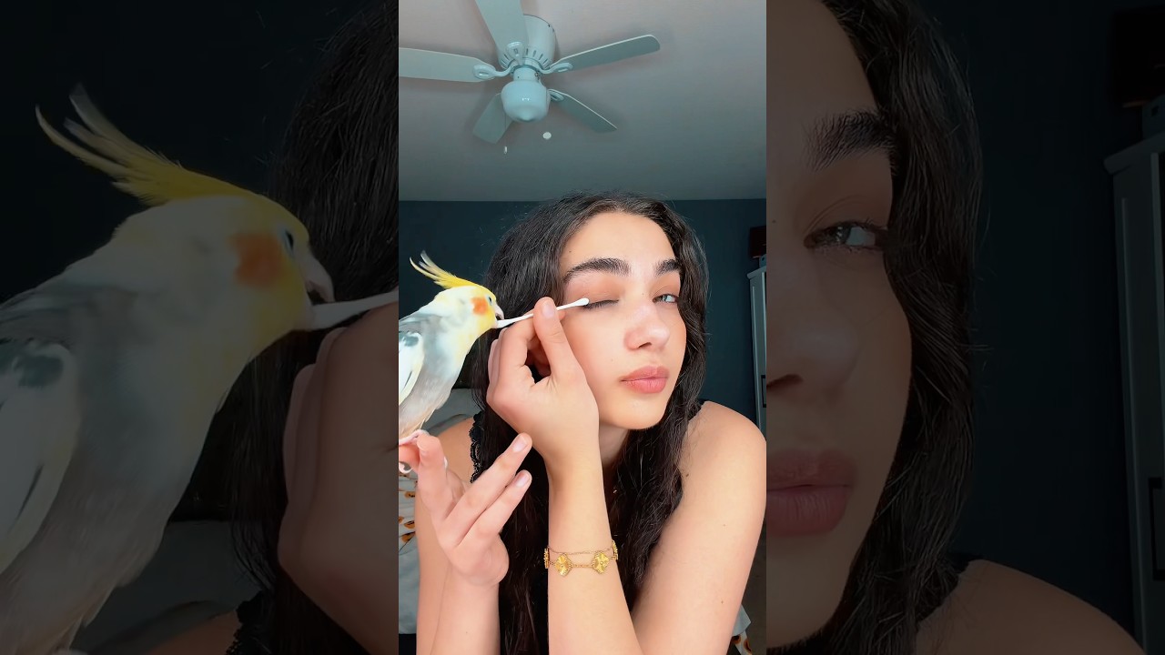 My bird is sick…🥺 #bird #sick