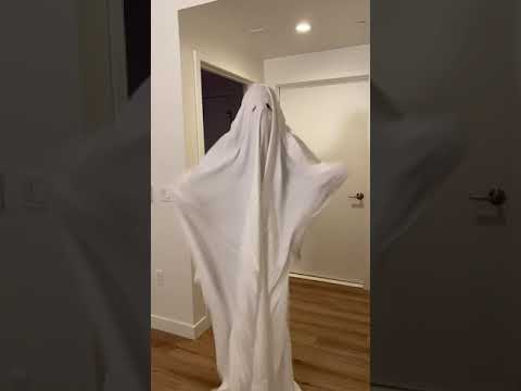 Haunted House Dilemma: No Escape π±