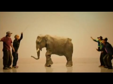 SPECIAL OTHERS - AIMS 【MUSIC VIDEO SHORT.】