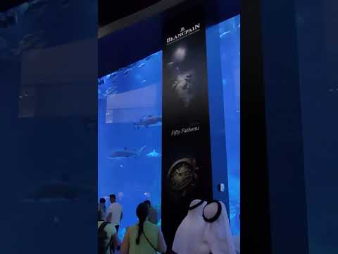 habibi come to Dubai 🇦🇪 #dubai #dubailife #habibi #tiktok #wizzair #abudhabi #jojo #burjkhalifa #Emi