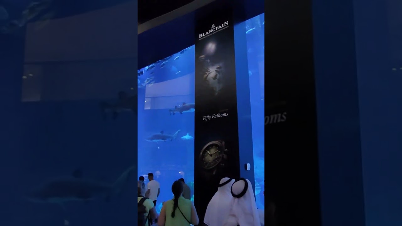 Habibi, Welcome to Dubai! 🇦🇪 Explore the City’s Wonders