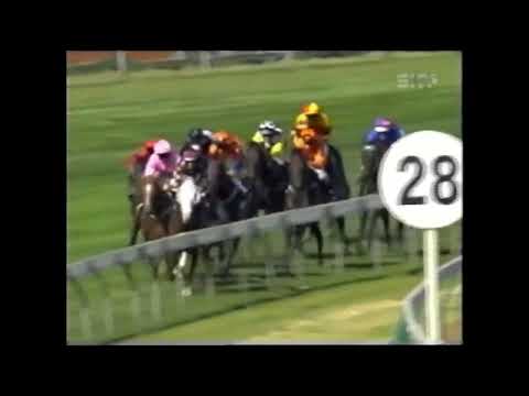 Apache Cat - Australian Guineas 1600m Group 1 2006 - Trained by Greg Eurell
