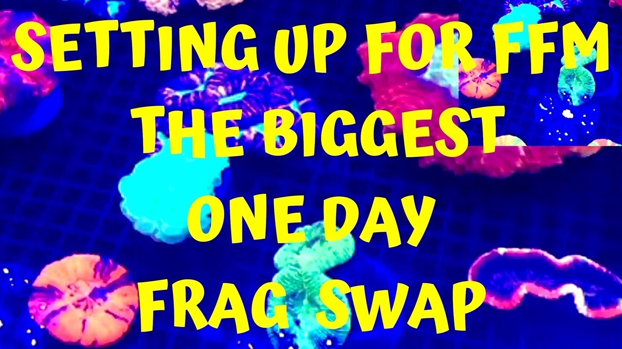 SETTING UP FOR THE BIGGEST ONE DAY FRAG SWAP (NEW ENGLAND FRAG FARMERS MARKET 2020)