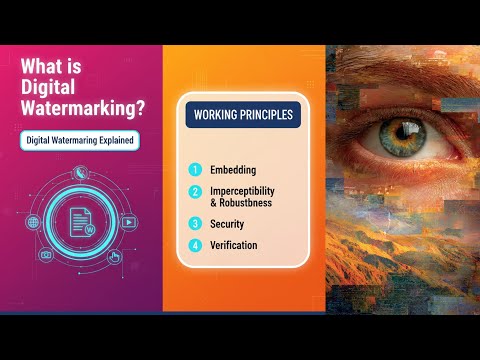 Understanding Digital Watermarking: A Key Technique in Content Protection