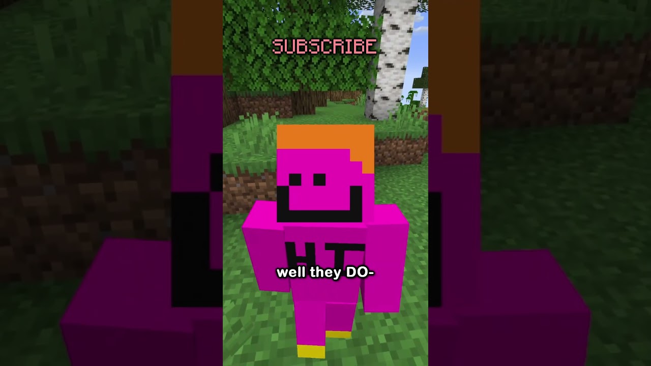 Java Edition Moment & Follow Me 🌟