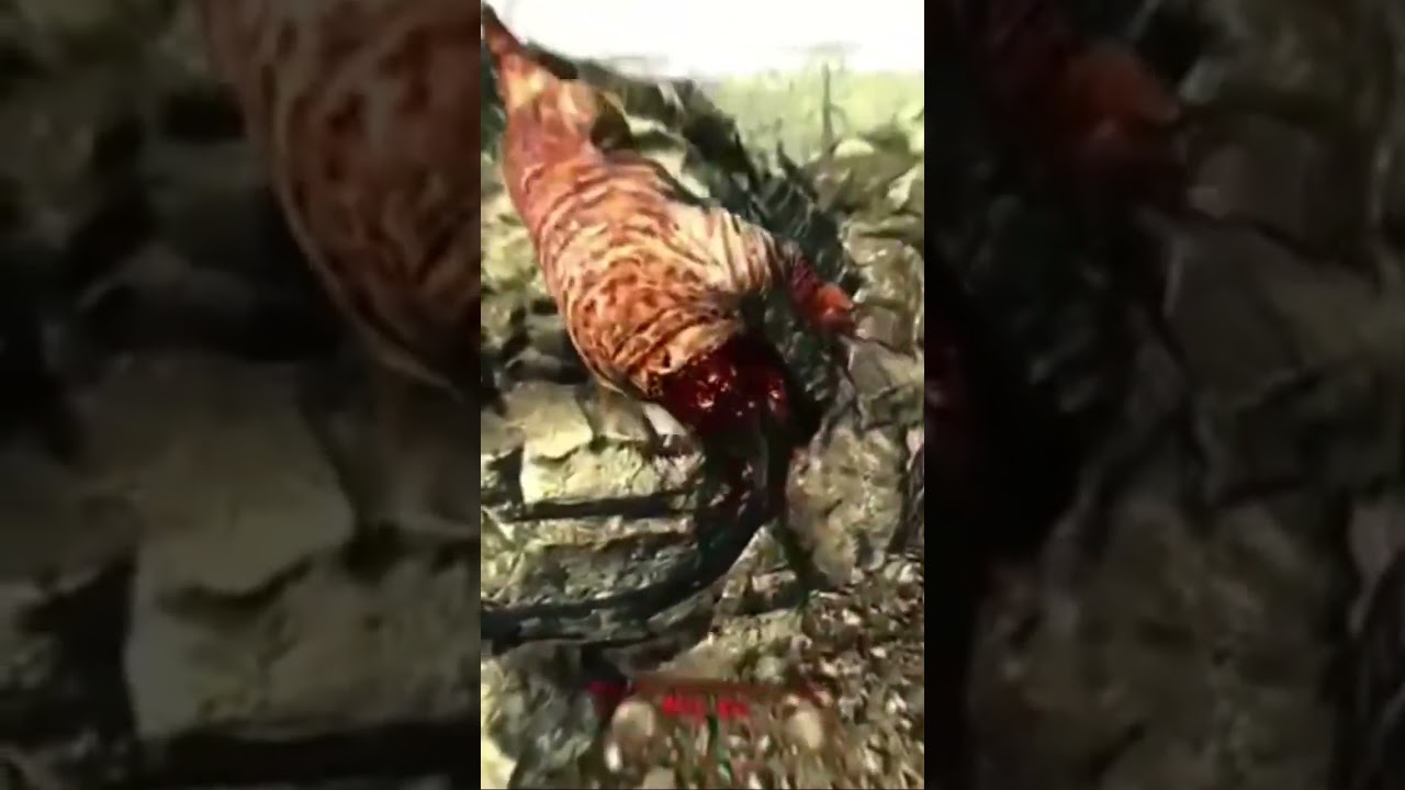 Fallout 3: My Favorite Game 🎮