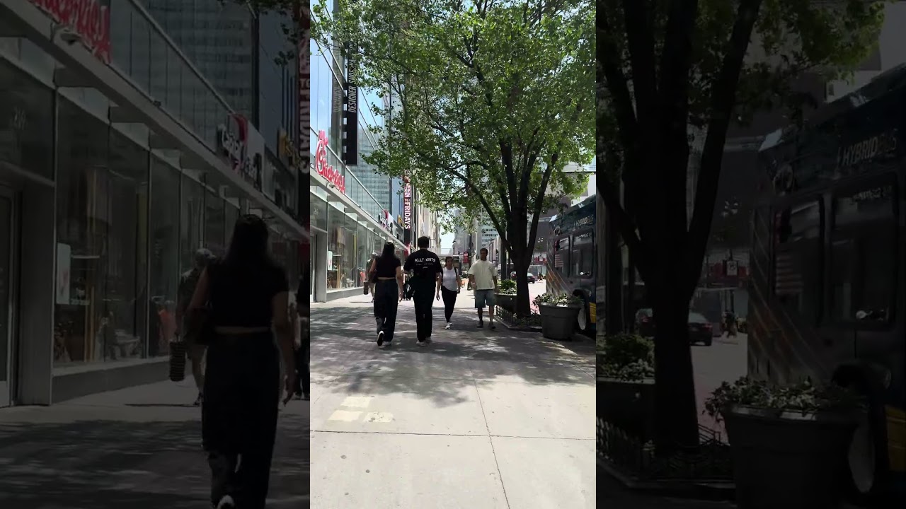 New York City Tour 2025 | Exploring the Big Apple Like Never Before #newyorkcity #travel