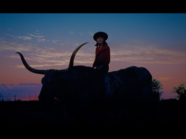 Vampire Cowgirl πΈ - Official Music Video by Tele Novella | New Album Out Now