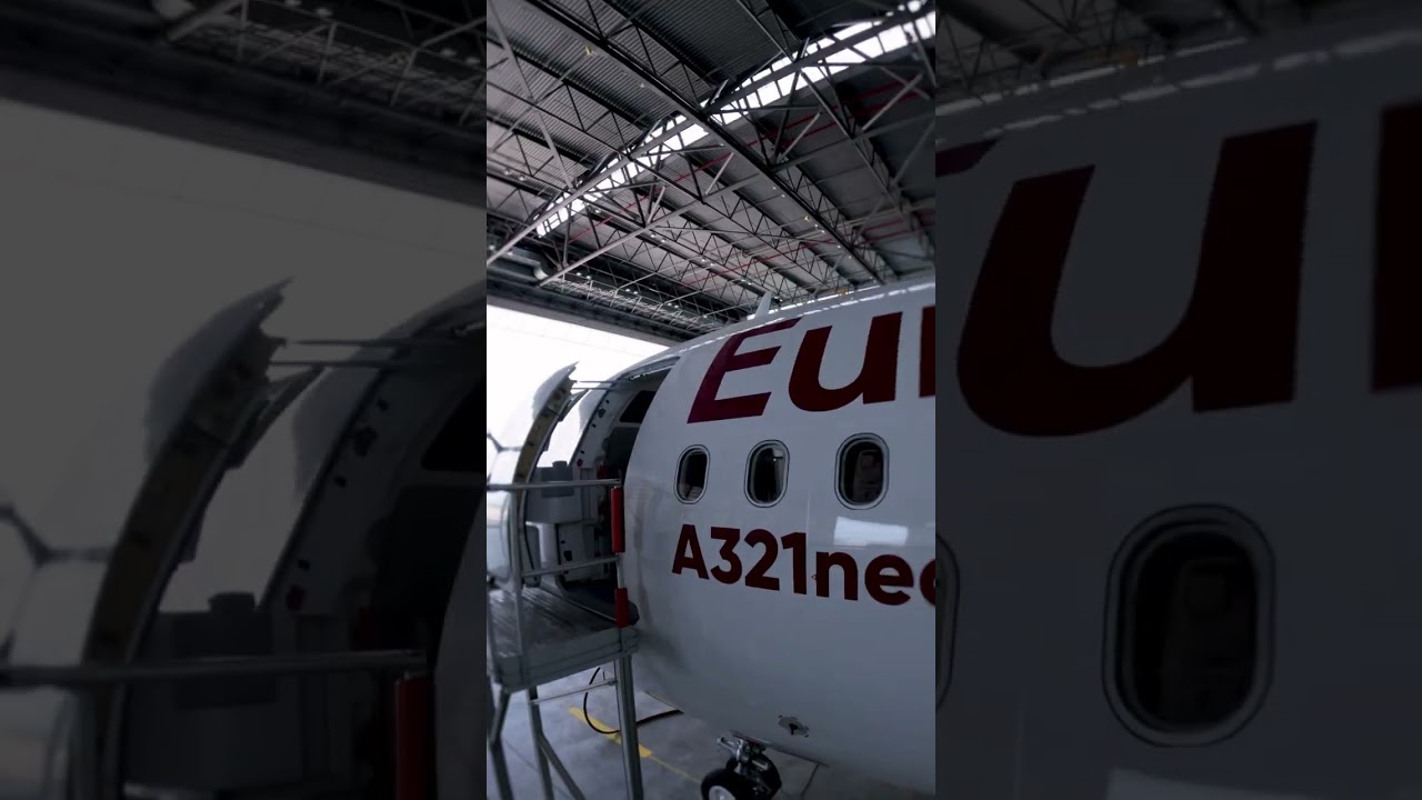 Exploring the Concept of Beauty