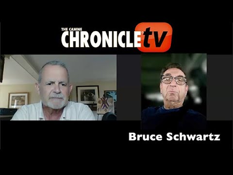 Dog Show Tips - Will Alexander Interviews Bruce Schwartz