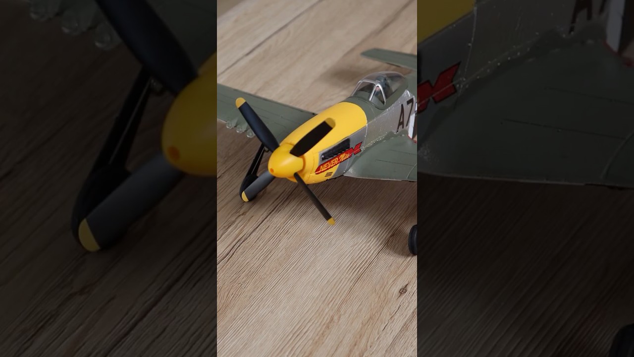 Discover My New WW2 Warbird: Mustang P-51D with 2s Brushless Power βοΈ