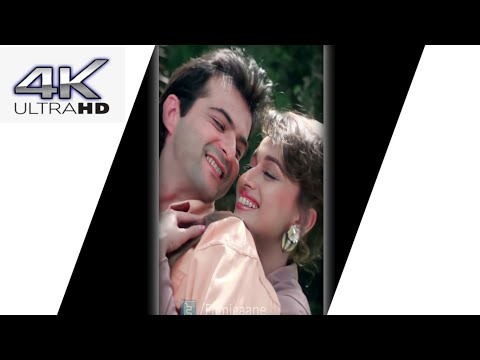 Kisi Din Banoongi Main Raja Ki Rani Status || Madhuri Dixit || Kisi Din Banoongi Main | Udit Narayan