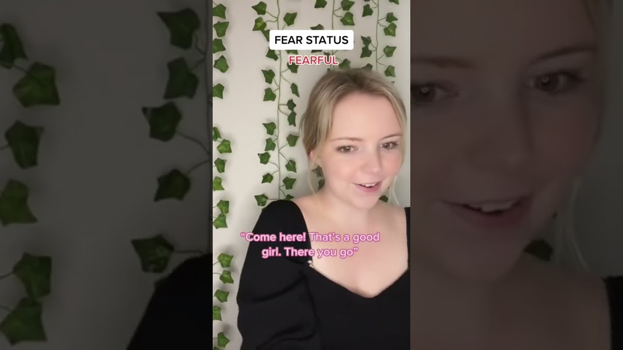 Fearless Part 5 #shorts | Hidden Strength 💪