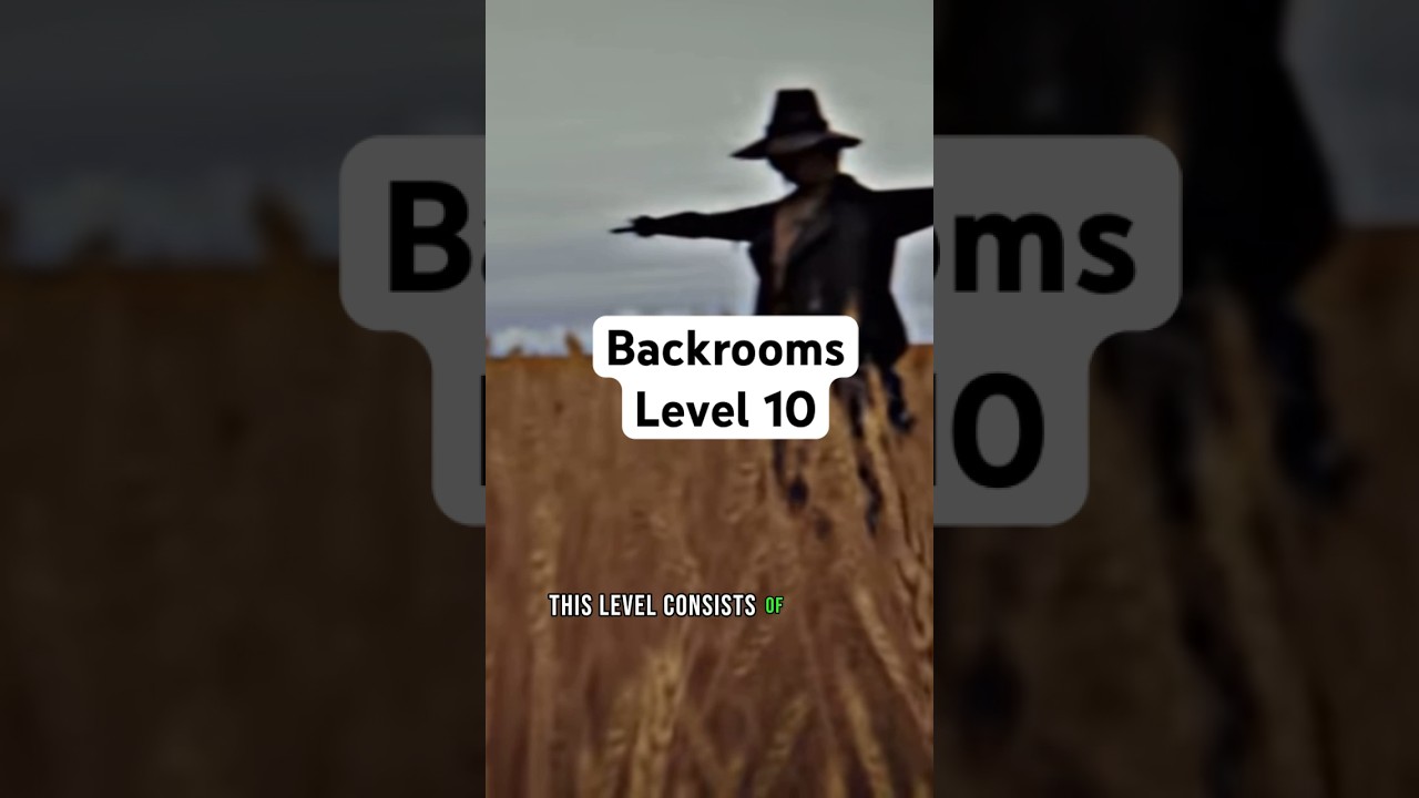 The Backrooms Level 10 Found Footage Explained
