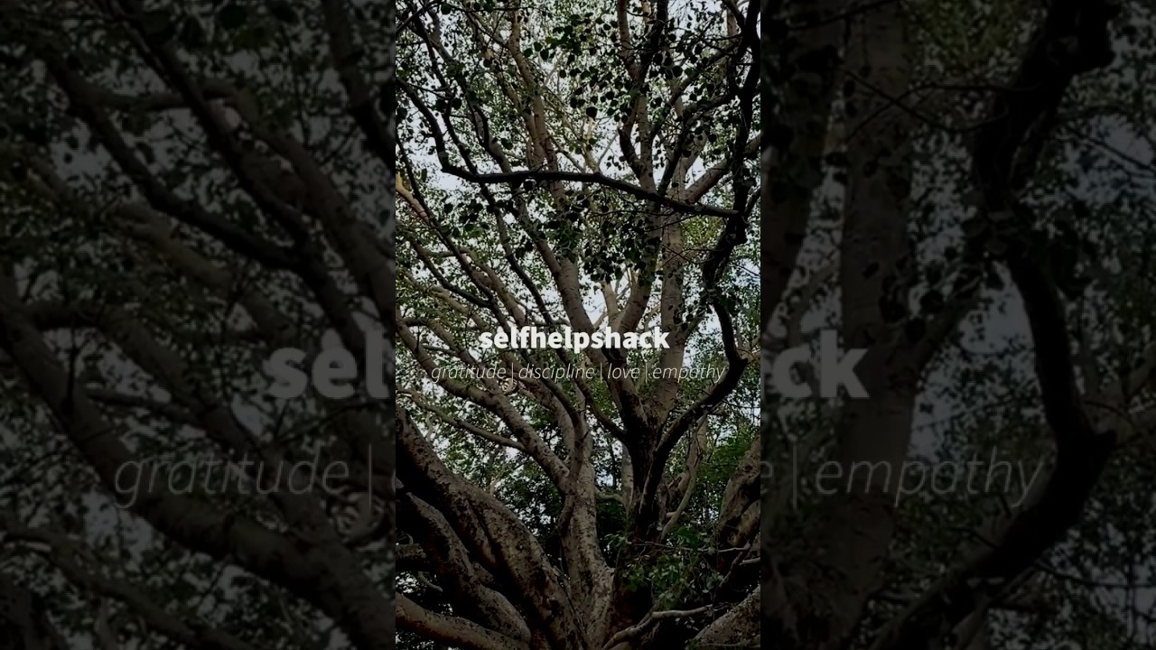 Control Impulses to Achieve Happiness & Goals