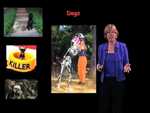 IGF-1's Role in Aging | Cynthia Kenyon, UCSF 🧬