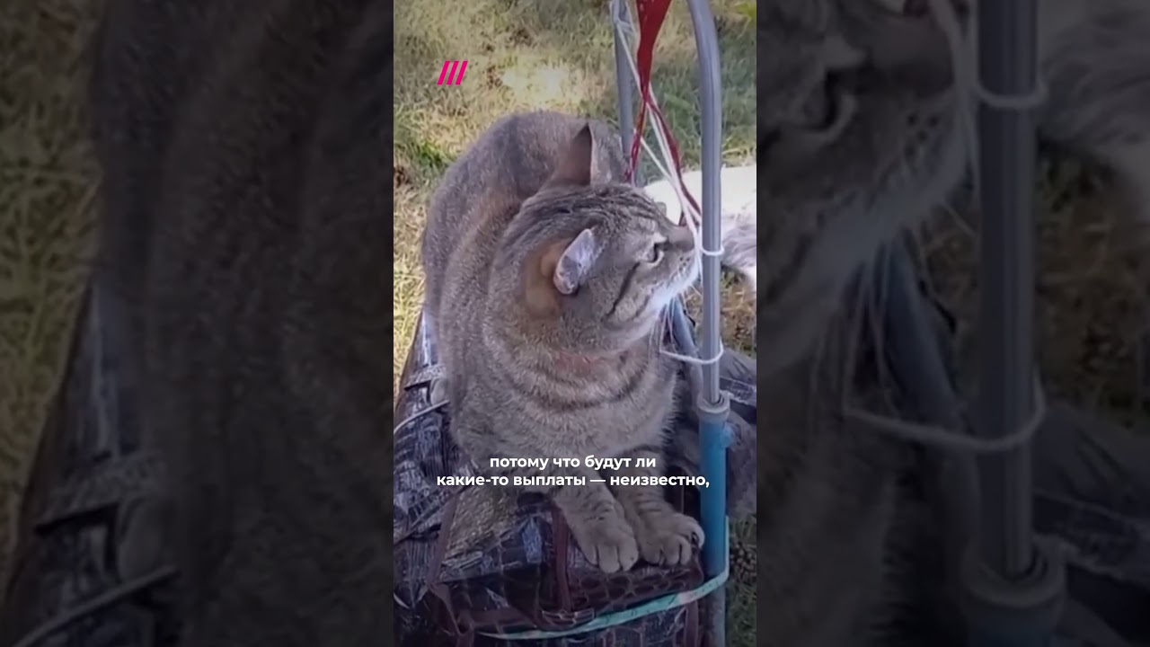 Жительница Белгородской области о эвакуации Шебекино 📝