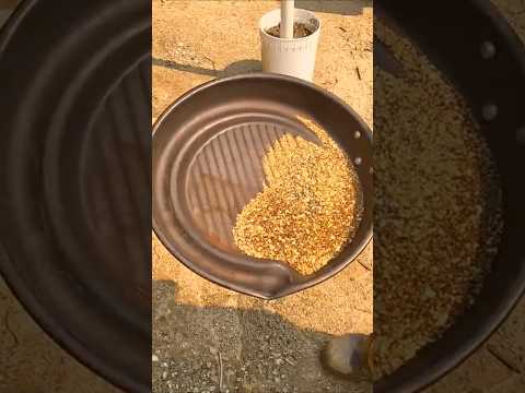 Record GOLD Cleanup!  $35,000 😮