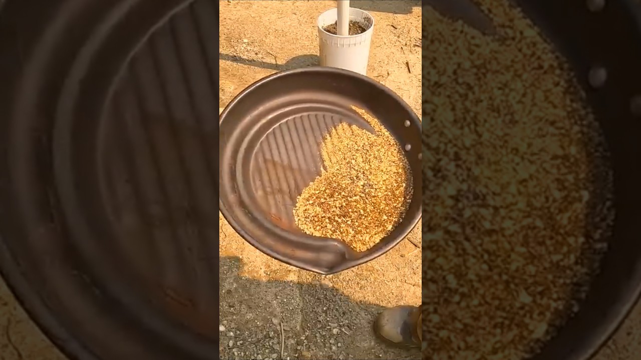 Epic Gold Cleanup! $35,000 in Nuggets at Tyler’s Mine 💰