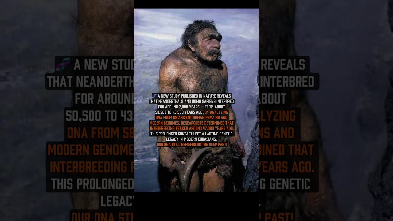 Ancient Romance: Neanderthals & Humans Interbred for 7,000 Years 🧬