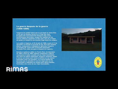 BAD BUNNY - VOY A LLeVARTE PA PR (Visualizer) | DeBÍ TiRAR MáS FOToS