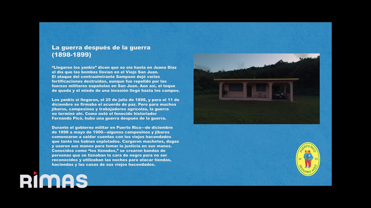 Bad Bunny - Voy a Llevarte pa' PR (Visualizer)