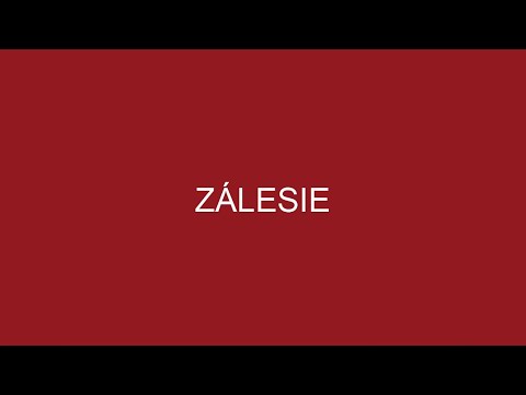 ZÁLESIE - ZÁLESKÁ DIVADELNÁ PÚŤ